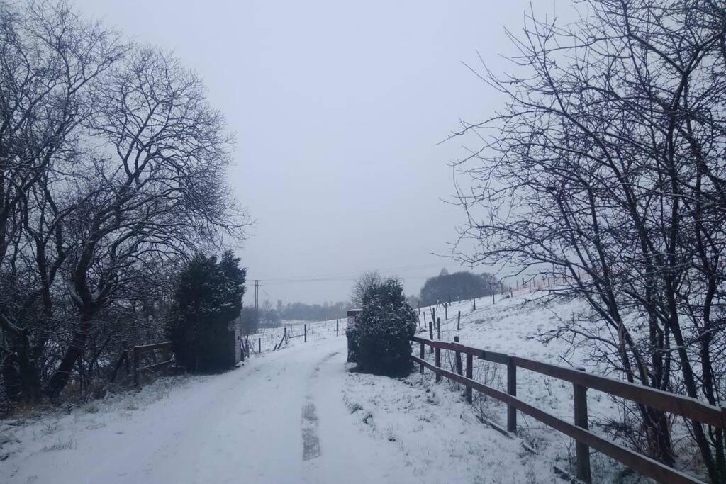 The Cottage - Hot Tub - Nr Glasgow - Self Check-In Coatbridge Eksteriør bilde